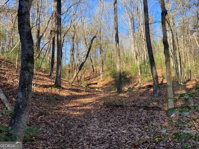 0 Whippoorwill Lane Cleveland, GA 30528 - Photo 20 of 39