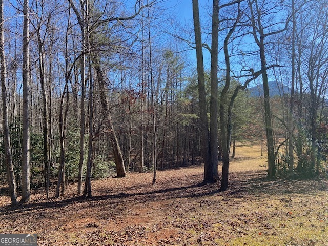 0 Whippoorwill Lane Cleveland, GA 30528 - Photo 2 of 39