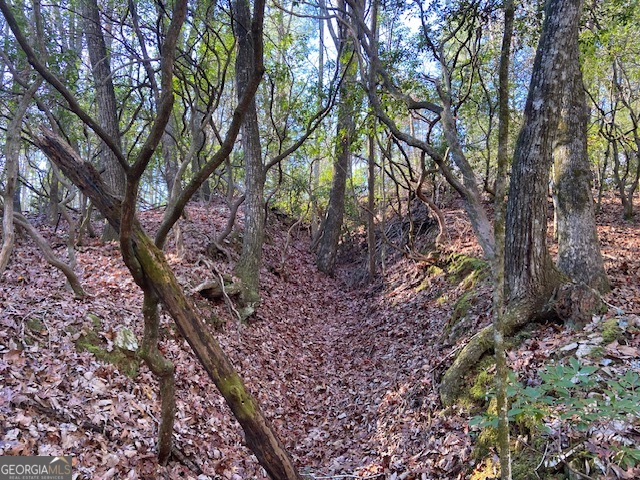 0 Whippoorwill Lane Cleveland, GA 30528 - Photo 21 of 39