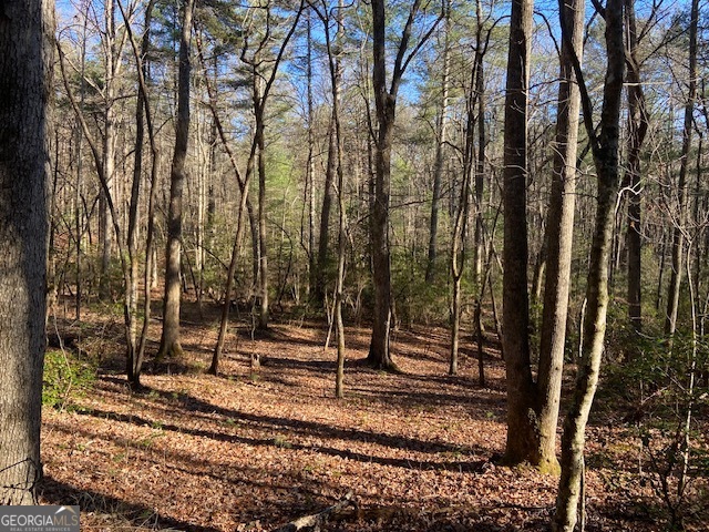 0 Whippoorwill Lane Cleveland, GA 30528 - Photo 22 of 39