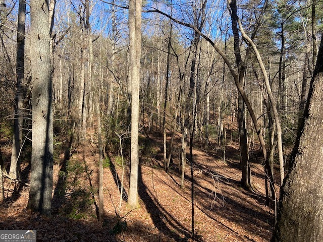 0 Whippoorwill Lane Cleveland, GA 30528 - Photo 23 of 39