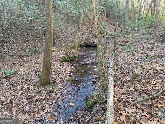 0 Whippoorwill Lane Cleveland, GA 30528 - Photo 26 of 39