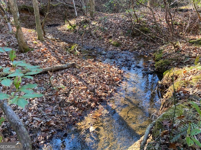 0 Whippoorwill Lane Cleveland, GA 30528 - Photo 27 of 39