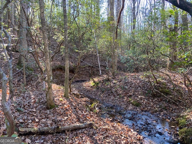 0 Whippoorwill Lane Cleveland, GA 30528 - Photo 28 of 39