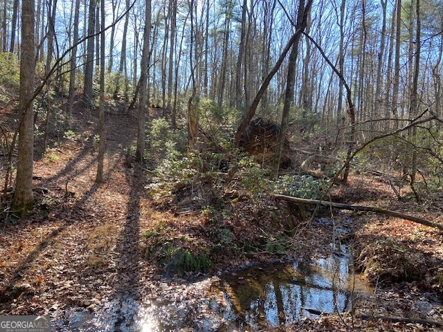 0 Whippoorwill Lane Cleveland, GA 30528 - Photo 29 of 39