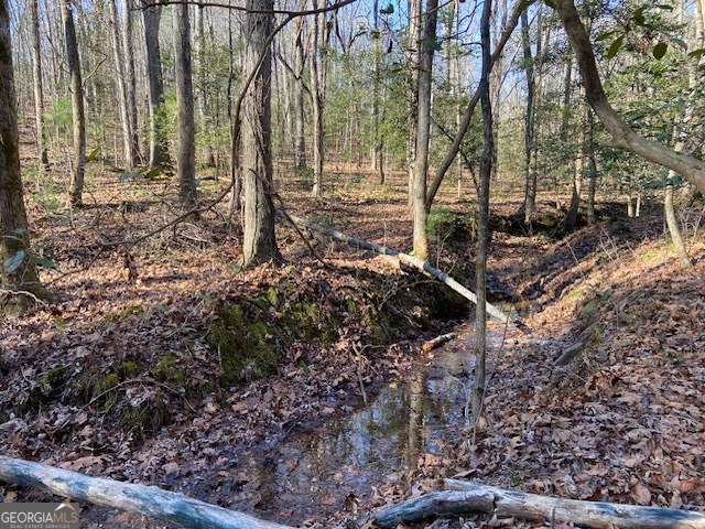 0 Whippoorwill Lane Cleveland, GA 30528 - Photo 30 of 39