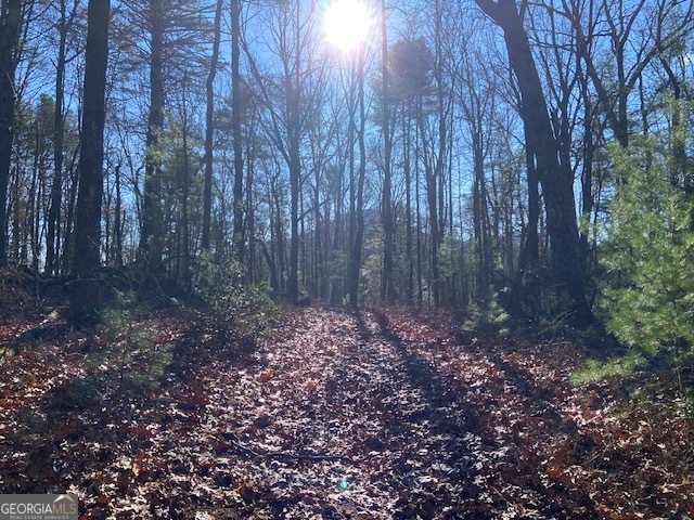0 Whippoorwill Lane Cleveland, GA 30528 - Photo 3 of 39