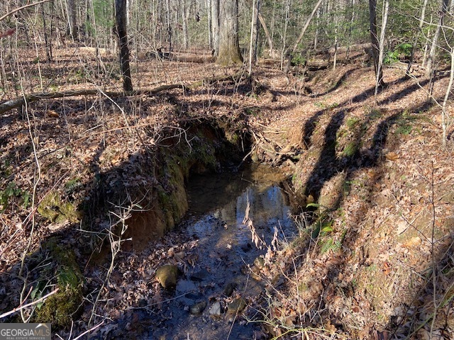 0 Whippoorwill Lane Cleveland, GA 30528 - Photo 31 of 39