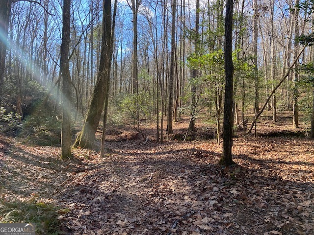 0 Whippoorwill Lane Cleveland, GA 30528 - Photo 32 of 39