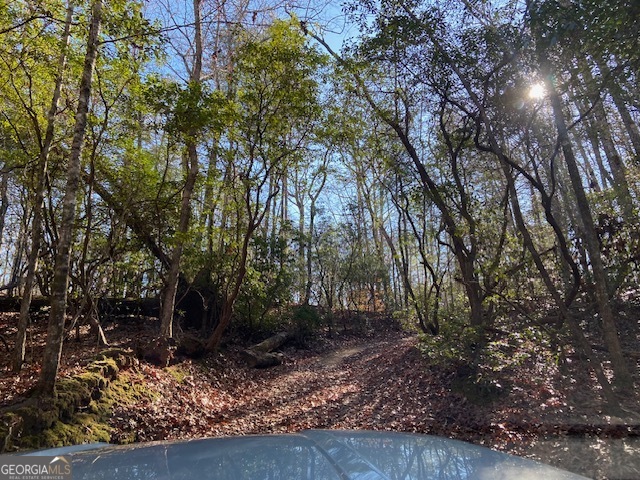 0 Whippoorwill Lane Cleveland, GA 30528 - Photo 34 of 39