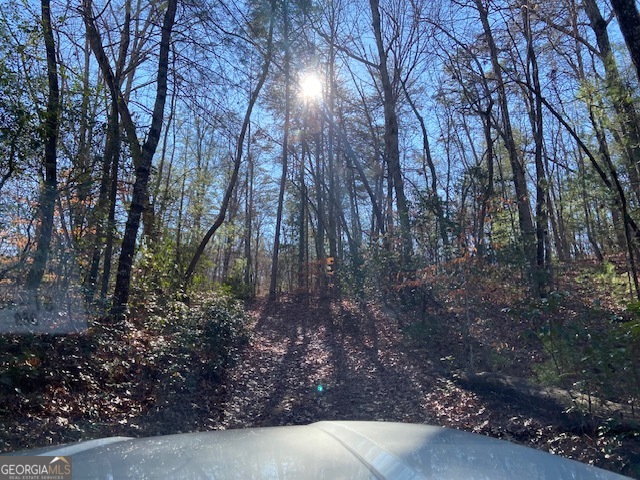 0 Whippoorwill Lane Cleveland, GA 30528 - Photo 35 of 39