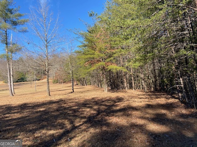 0 Whippoorwill Lane Cleveland, GA 30528 - Photo 36 of 39