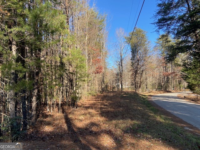 0 Whippoorwill Lane Cleveland, GA 30528 - Photo 38 of 39