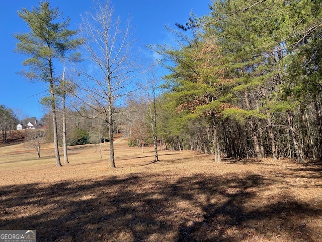 0 Whippoorwill Lane Cleveland, GA 30528 - Photo 39 of 39