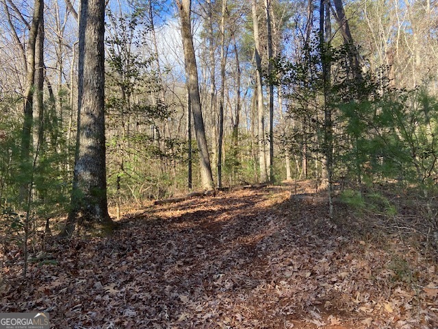 0 Whippoorwill Lane Cleveland, GA 30528 - Photo 4 of 39