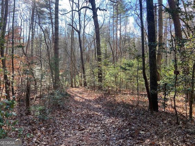 0 Whippoorwill Lane Cleveland, GA 30528 - Photo 5 of 39