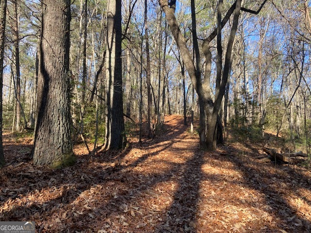 0 Whippoorwill Lane Cleveland, GA 30528 - Photo 6 of 39