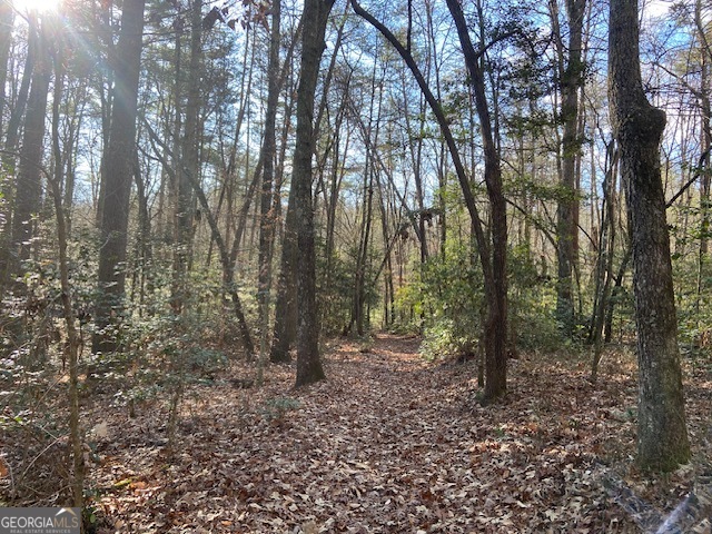 0 Whippoorwill Lane Cleveland, GA 30528 - Photo 7 of 39