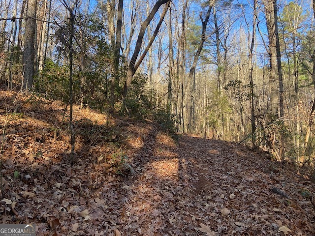 0 Whippoorwill Lane Cleveland, GA 30528 - Photo 8 of 39