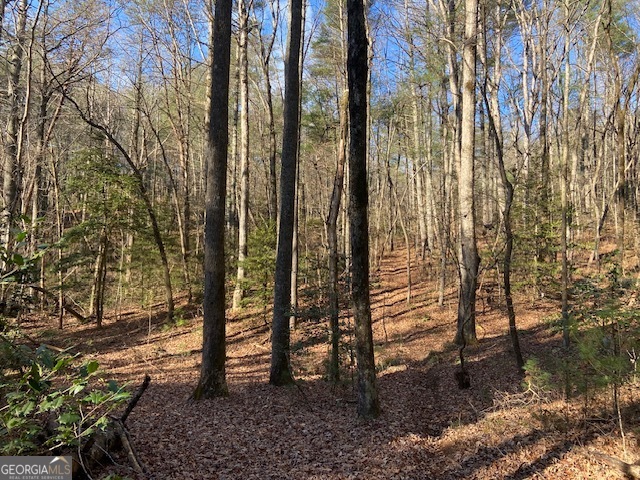 0 Whippoorwill Lane Cleveland, GA 30528 - Photo 9 of 39