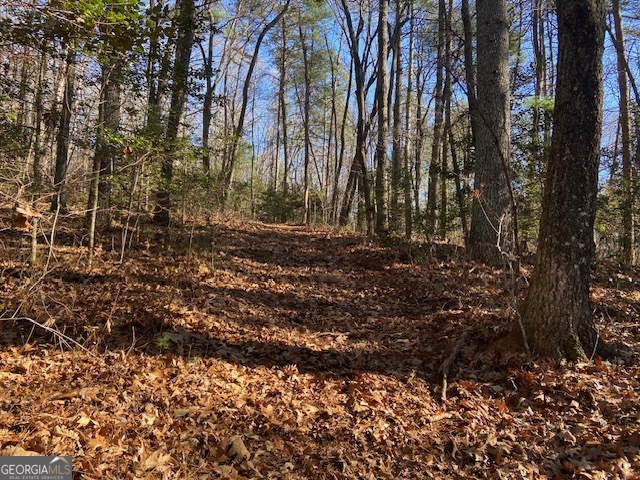 0 Whippoorwill Lane Cleveland, GA 30528 - Photo 10 of 39