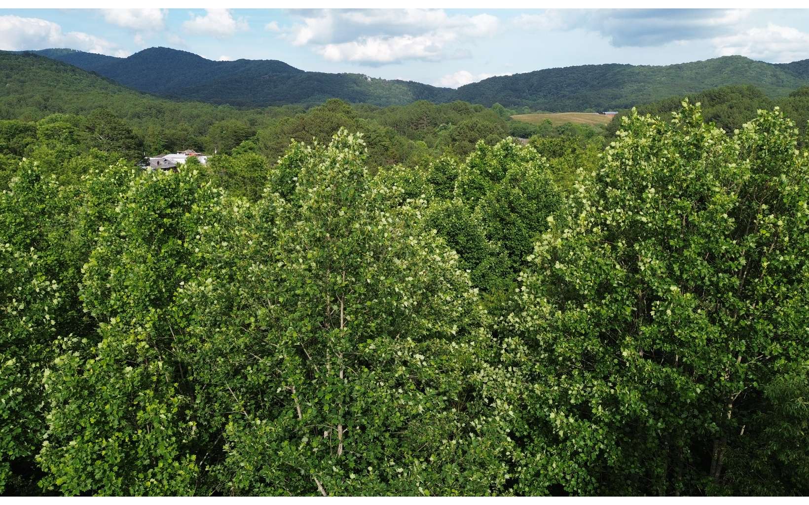 1.2-lot Cole Road Copperhill, TN 37317 - Photo 36 of 37 Additional View