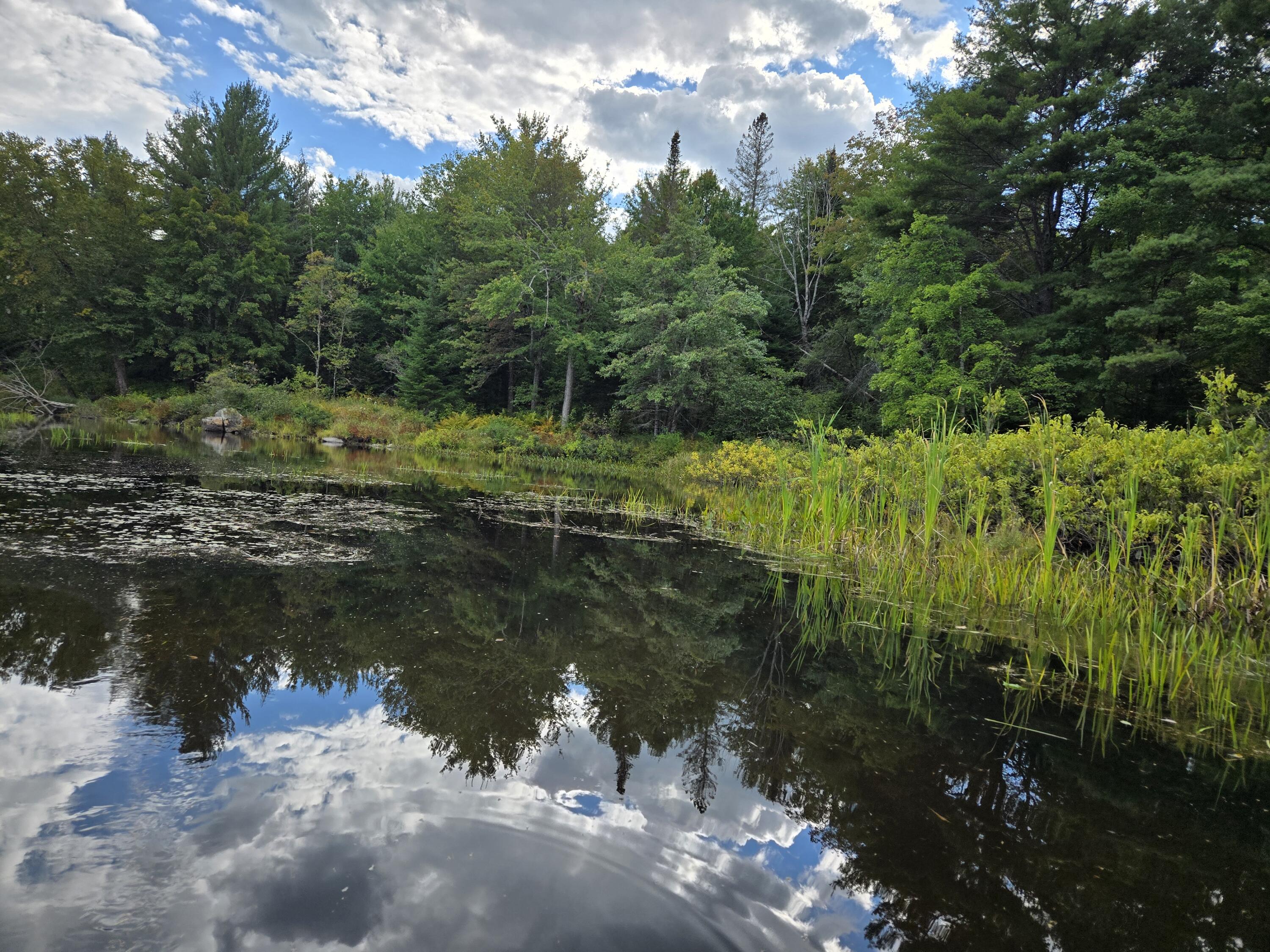 117 Gammon Road Sumner, ME 04292 - Photo 25 of 49 20250914_152336
