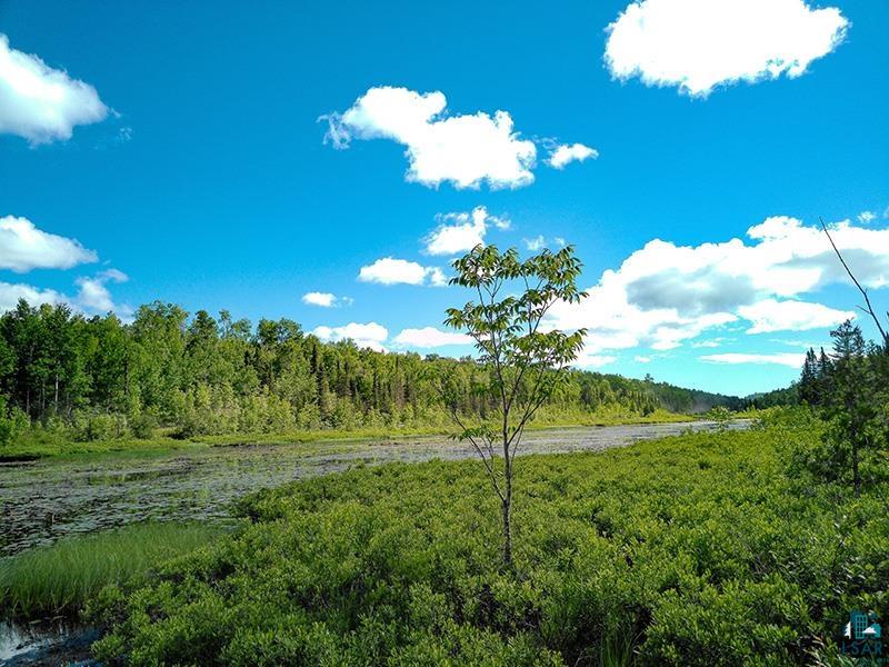 6975 Cramer Road Finland, MN 55603 - Photo 51 of 62