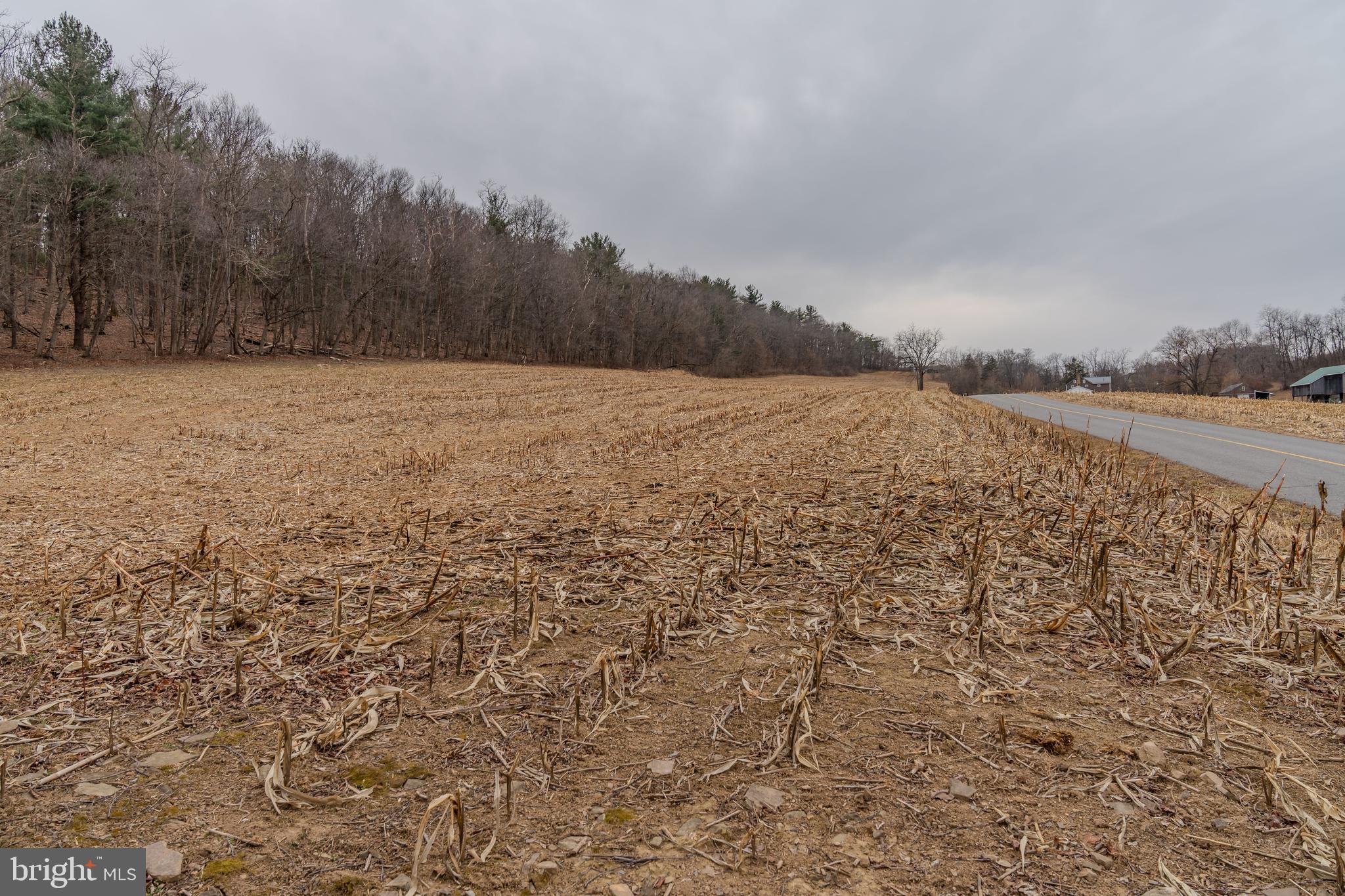 0 Vanormer Road, Unit 1 PARCEL McAlisterville, PA 17049 - Photo 2 of 15