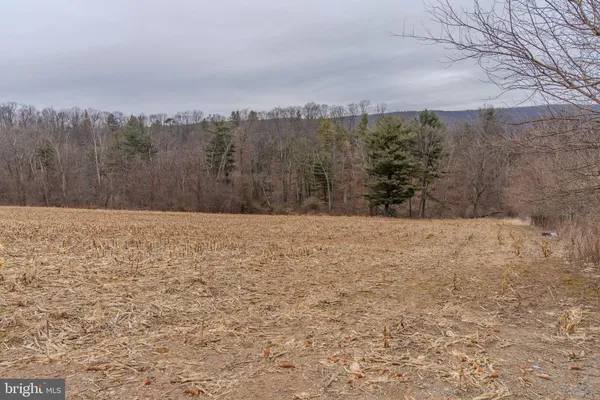 $125,000 | 0 Vanormer Road, Unit 1 PARCEL, McAlisterville, PA 17049