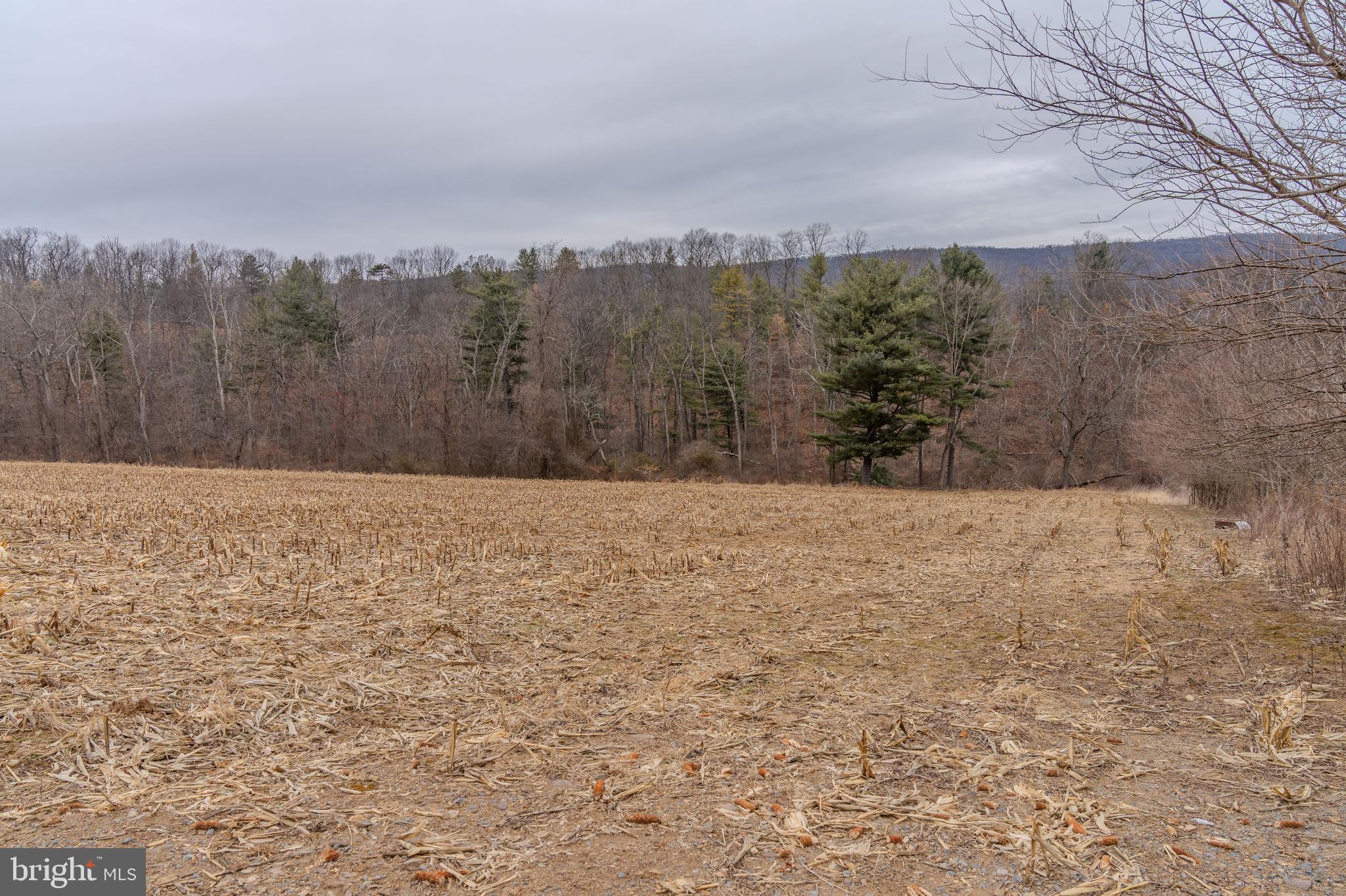 0 Vanormer Road, Unit 1 PARCEL McAlisterville, PA 17049 - Photo 4 of 15