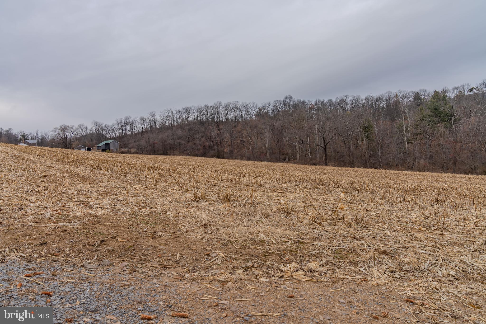 0 Vanormer Road, Unit 1 PARCEL McAlisterville, PA 17049 - Photo 5 of 15