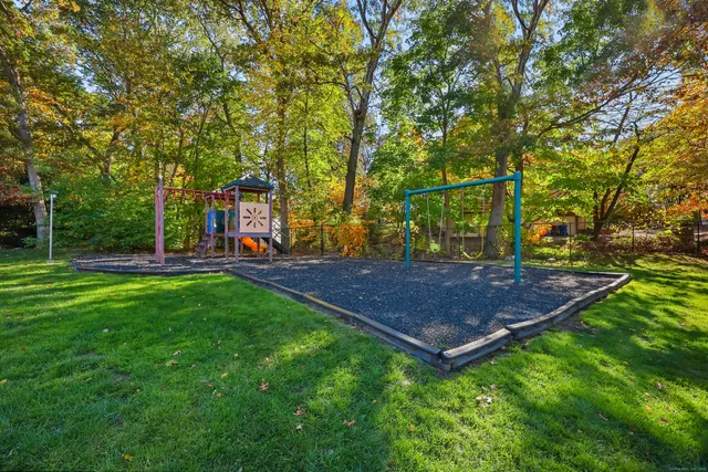 a view of a park with large trees