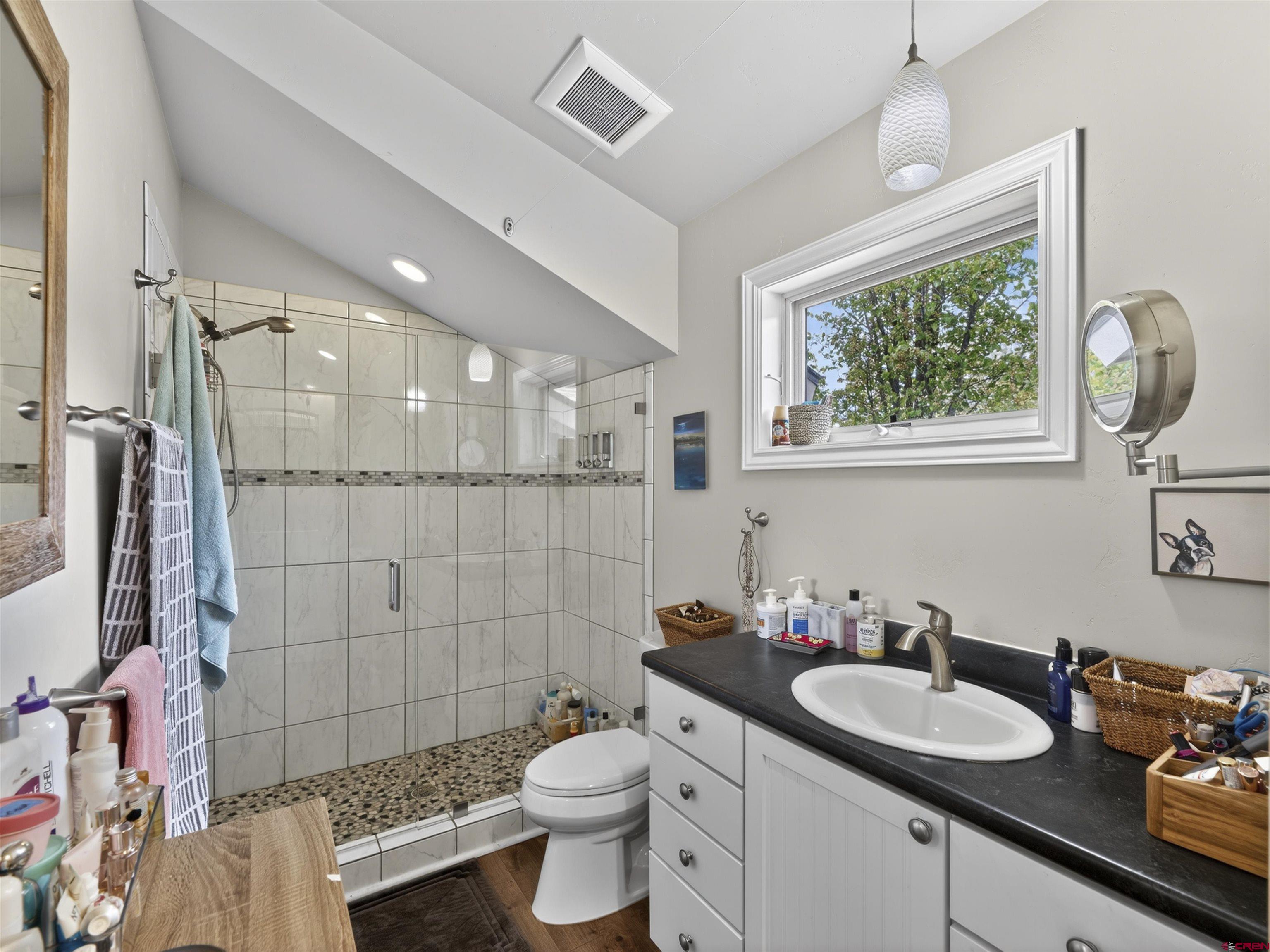 655 East 3rd Avenue Durango, CO 81301 - Photo 28 of 38 a bathroom with a sink a toilet and shower