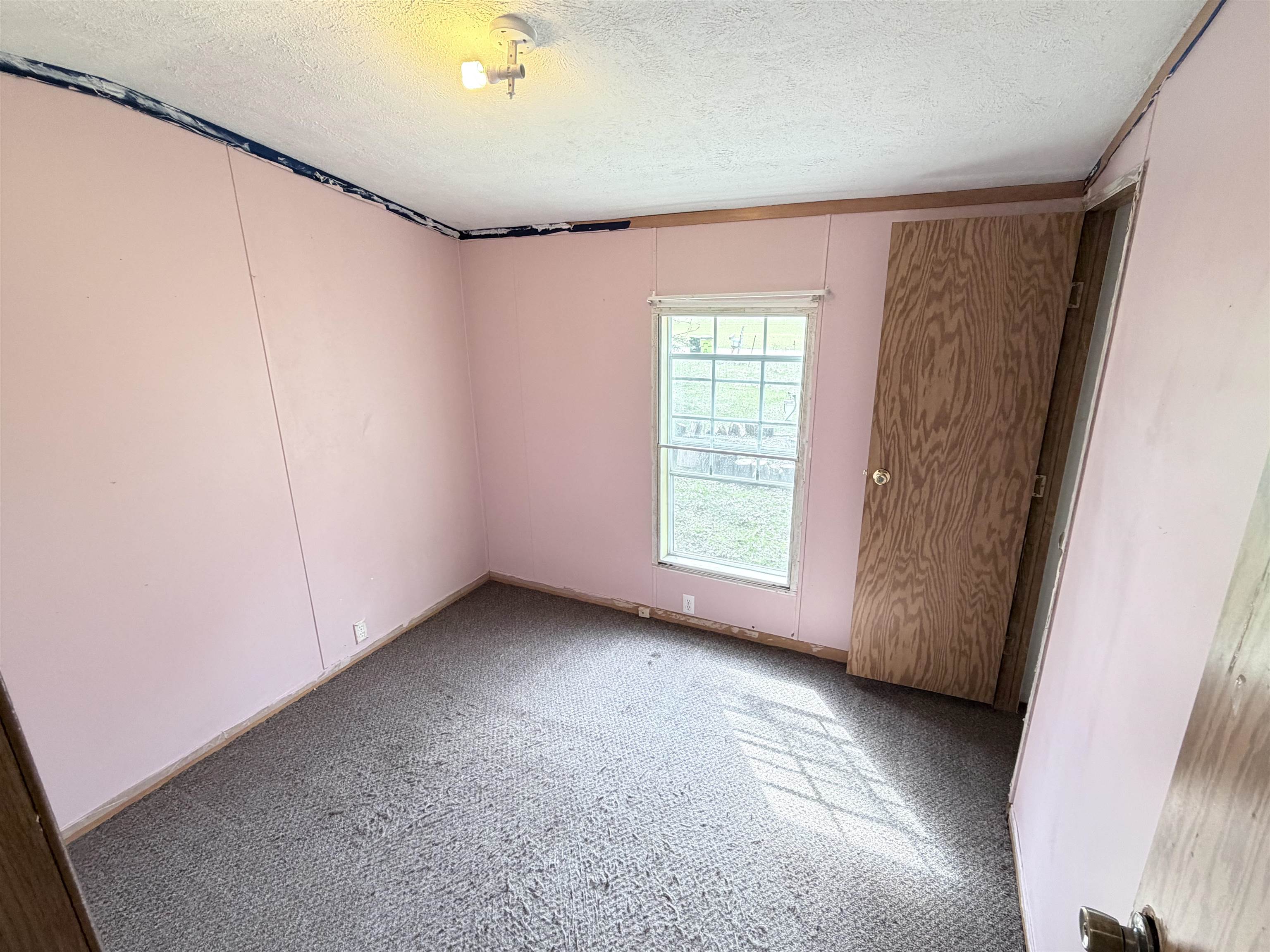 6542 North Geneva Road Coleman, MI 48618 - Photo 9 of 26