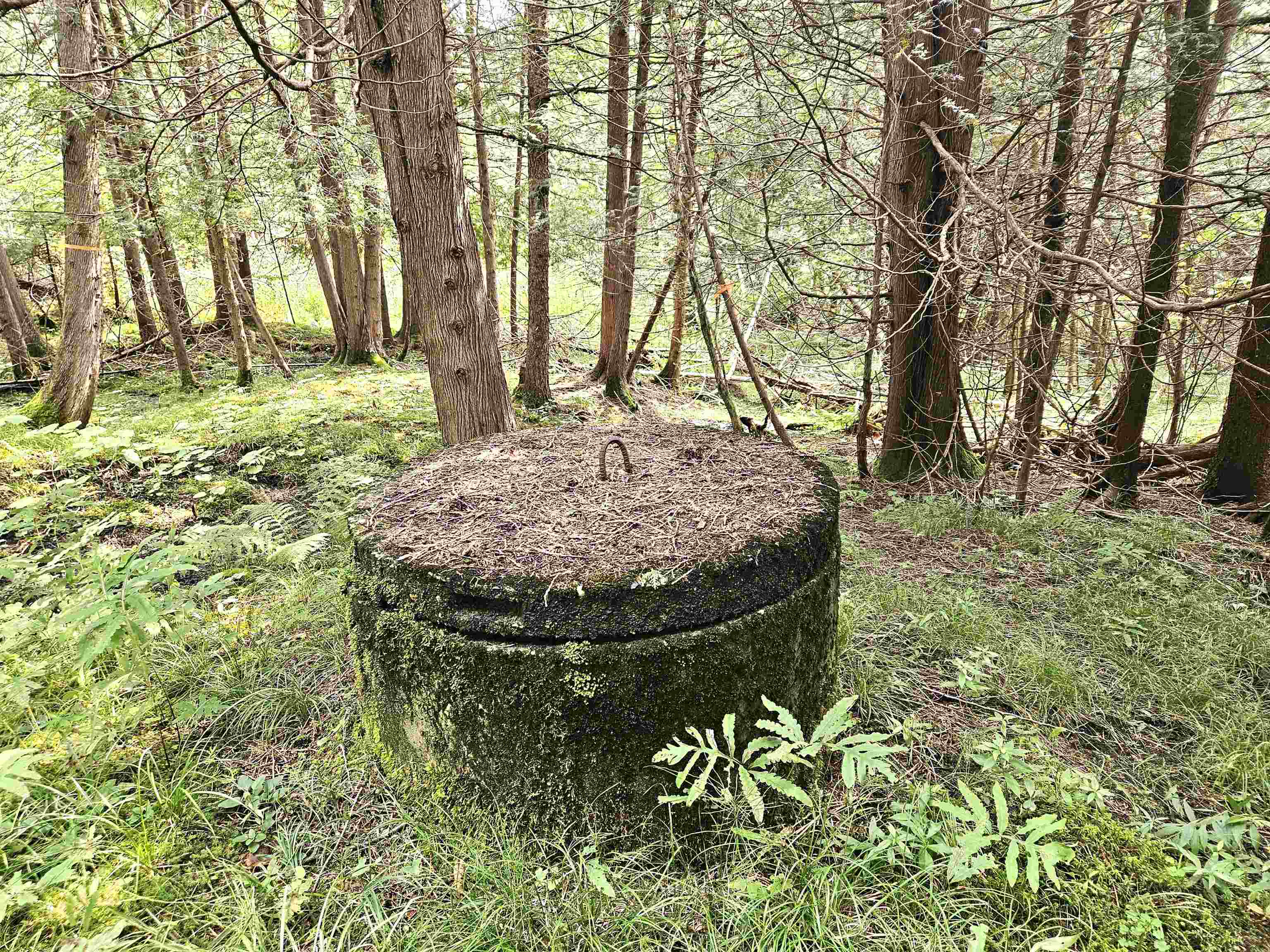 0 Andrews Road Derby Line, VT 05830 - Photo 11 of 37