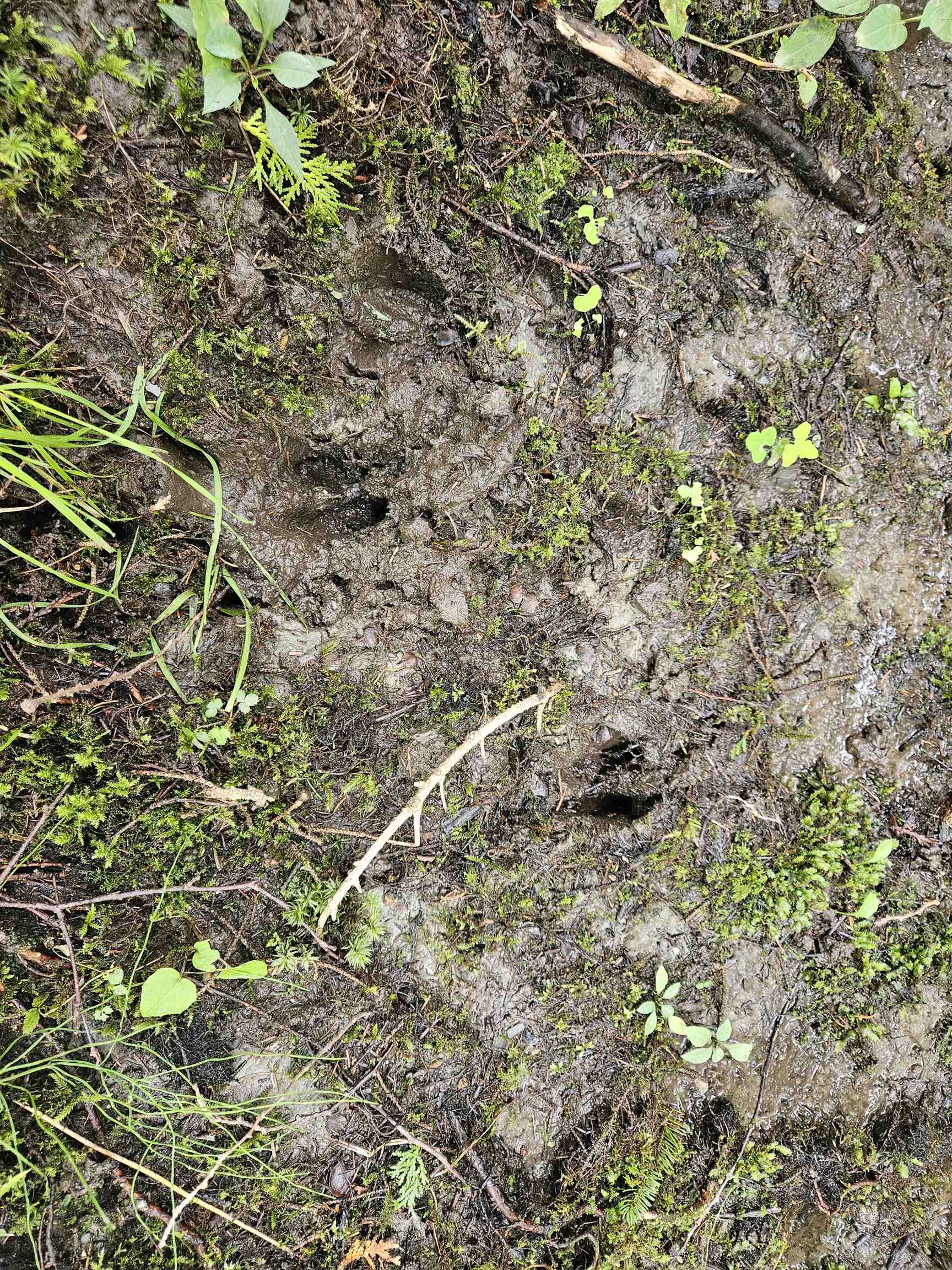 0 Andrews Road Derby Line, VT 05830 - Photo 24 of 37