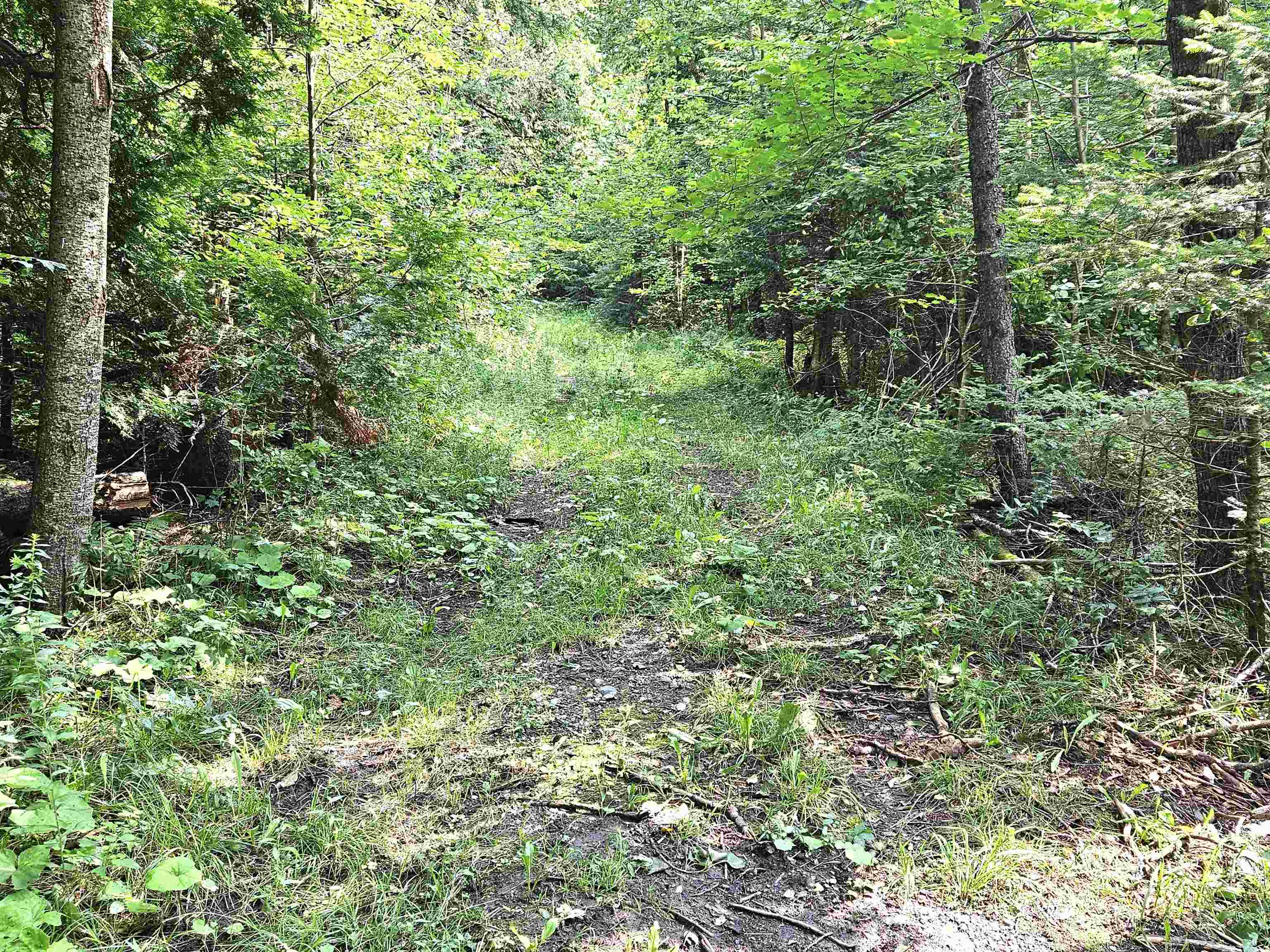 0 Andrews Road Derby Line, VT 05830 - Photo 25 of 37