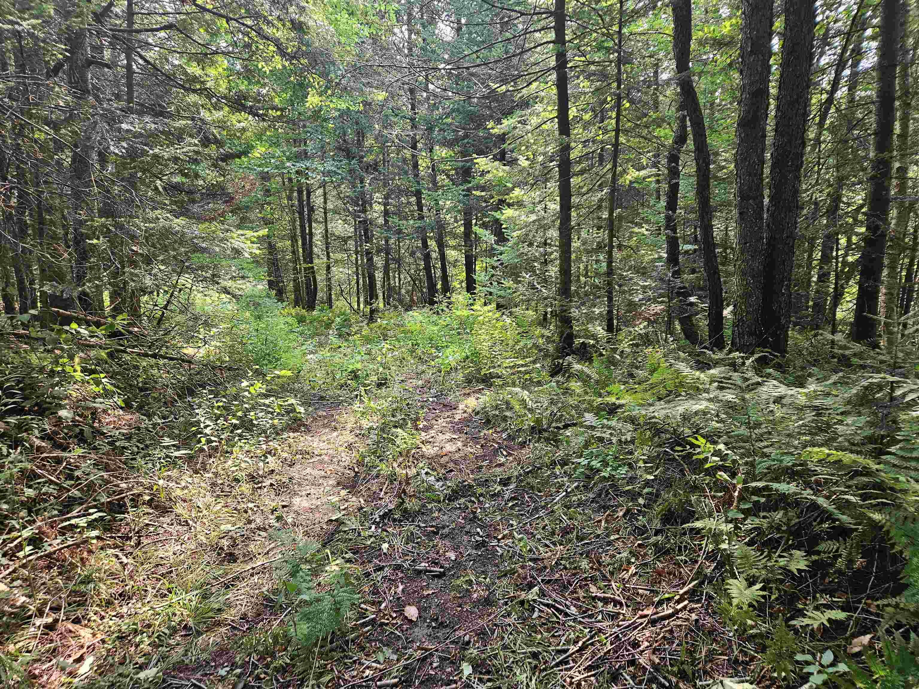 0 Andrews Road Derby Line, VT 05830 - Photo 26 of 37