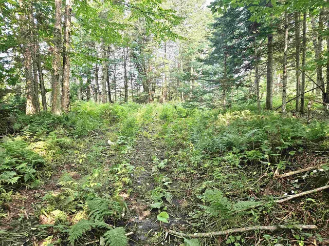 $185,000 | 0 Andrews Road, Derby Line, VT 05830