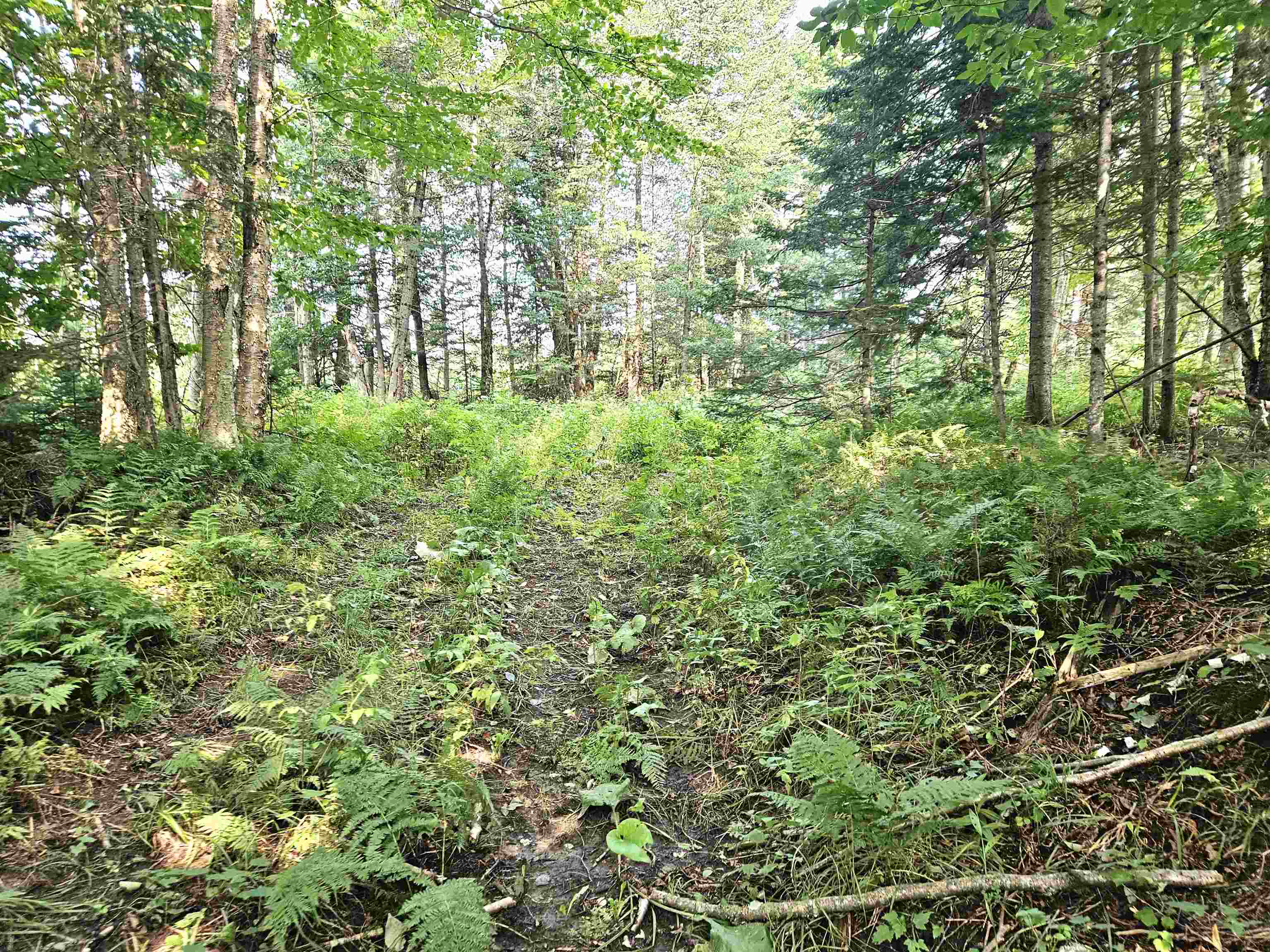 0 Andrews Road Derby Line, VT 05830 - Photo 27 of 37