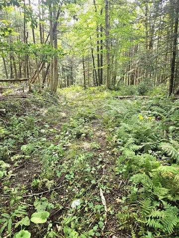 $185,000 | 0 Andrews Road, Derby Line, VT 05830