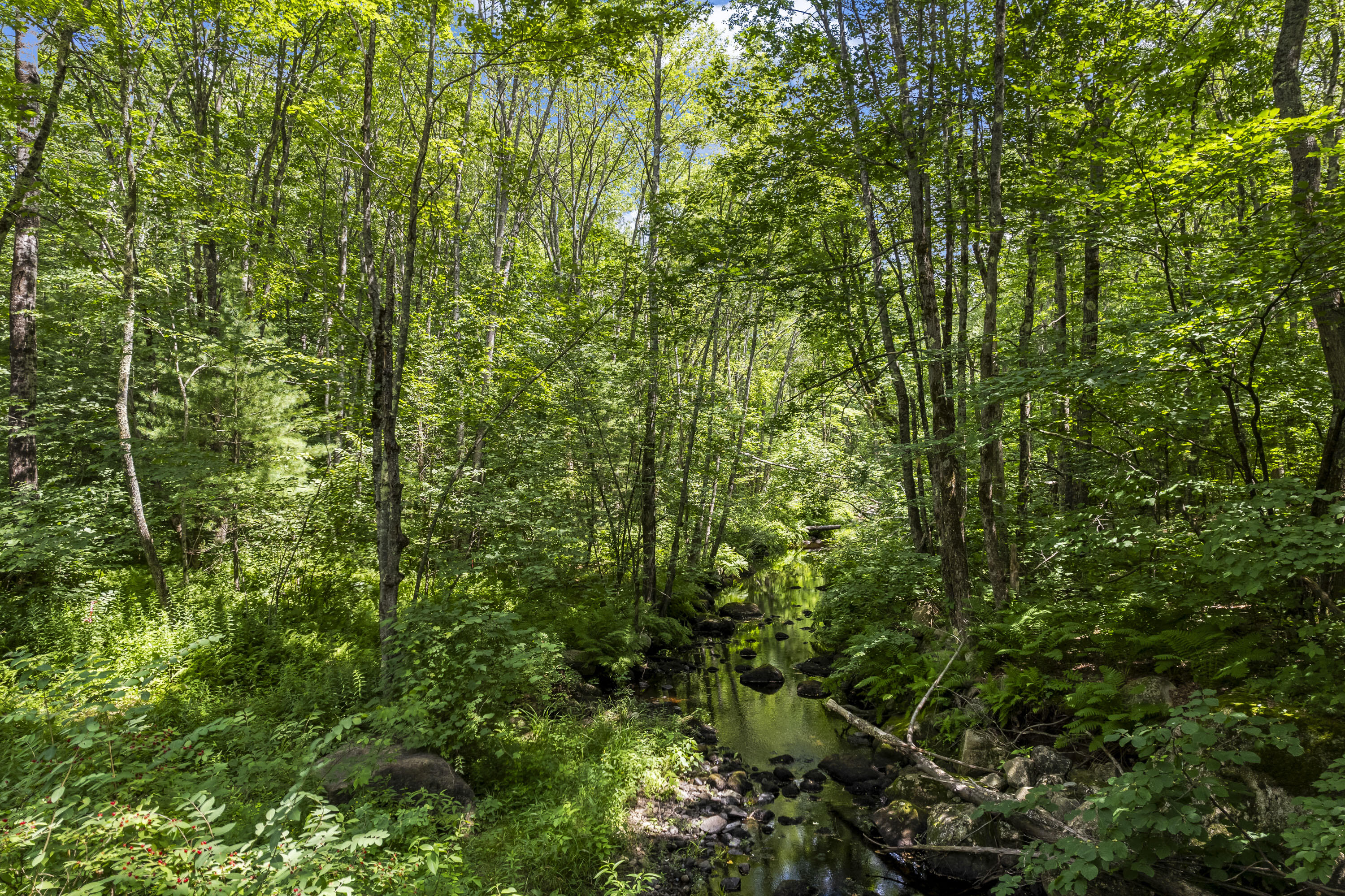 Tbd Carlisle Brook Road Lyman, ME 04002 - Photo 11 of 17 TBD Carlisle Brook Rd, Lyman