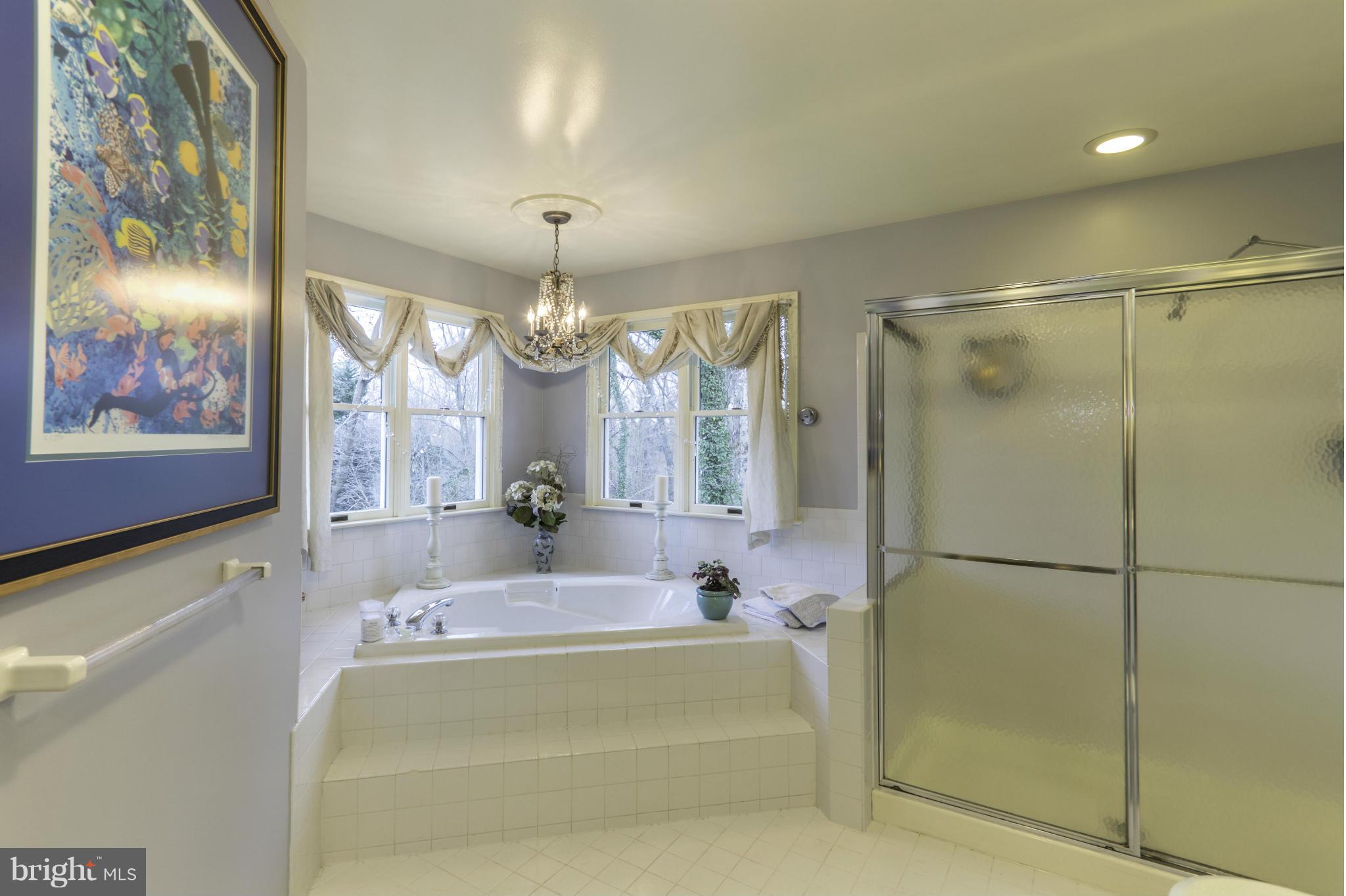 1683 Sam Ryder Road Arnold, MD 21012 - Photo 17 of 30 Bath (Master)