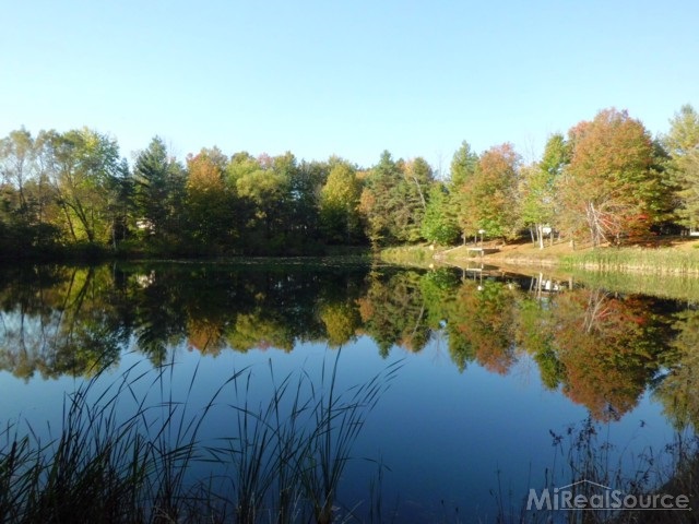 8050 Logana Road Avoca, MI 48006 - Photo 23 of 30 This is a view of the pond.