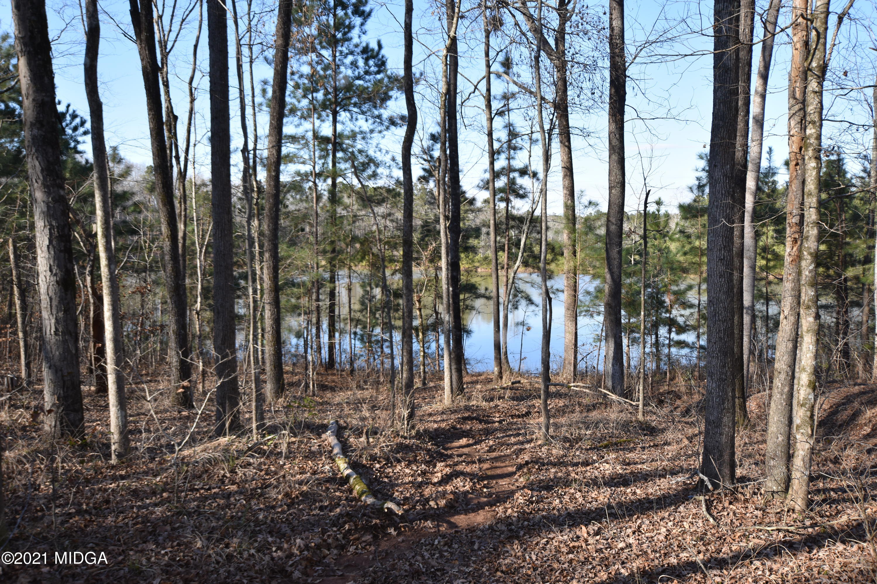 Lot 18 Plentitude Church Road Gray, GA 31032 - Photo 1 of 9 a view of a park with large trees