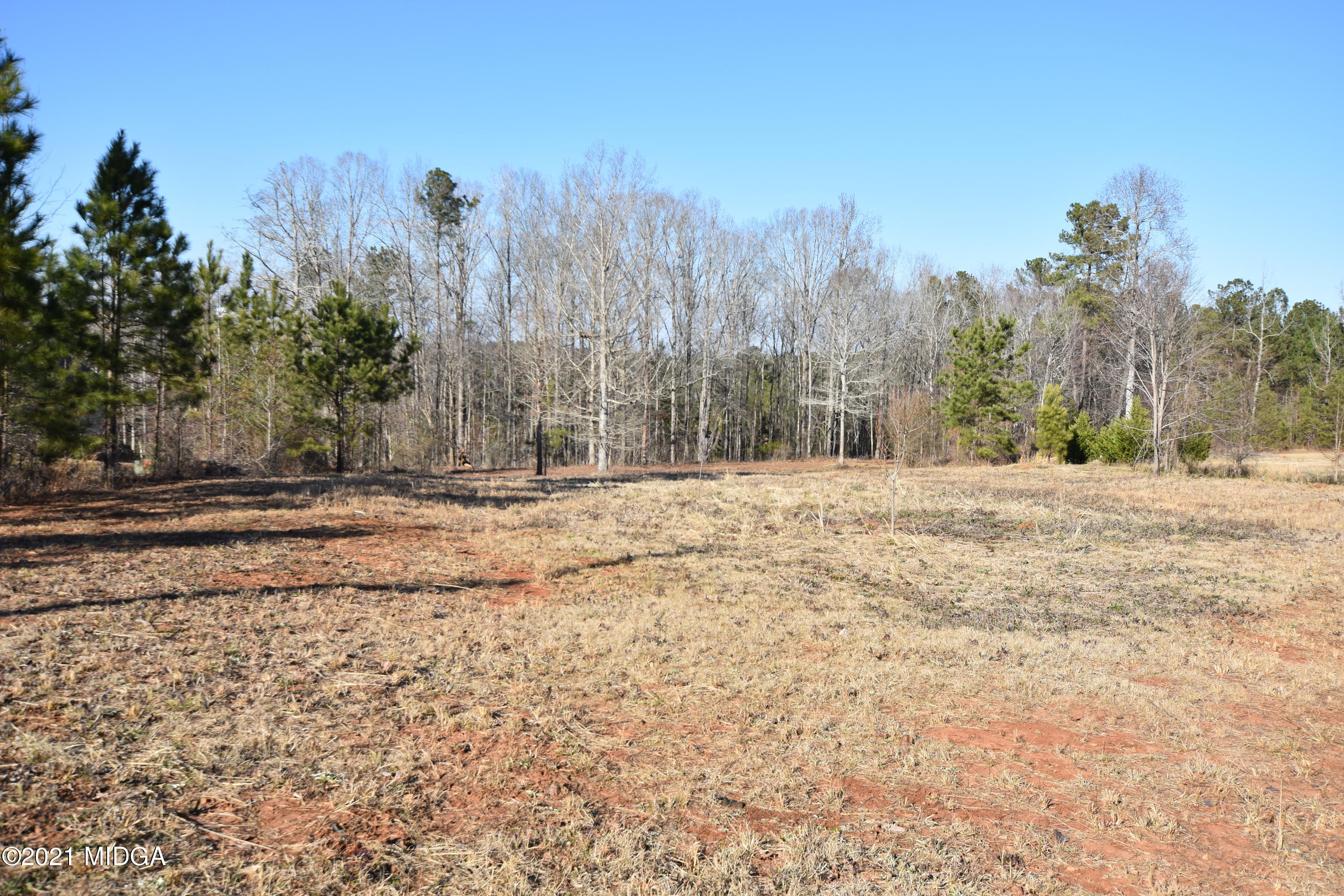 Lot 18 Plentitude Church Road Gray, GA 31032 - Photo 2 of 9 a view of outdoor space with trees