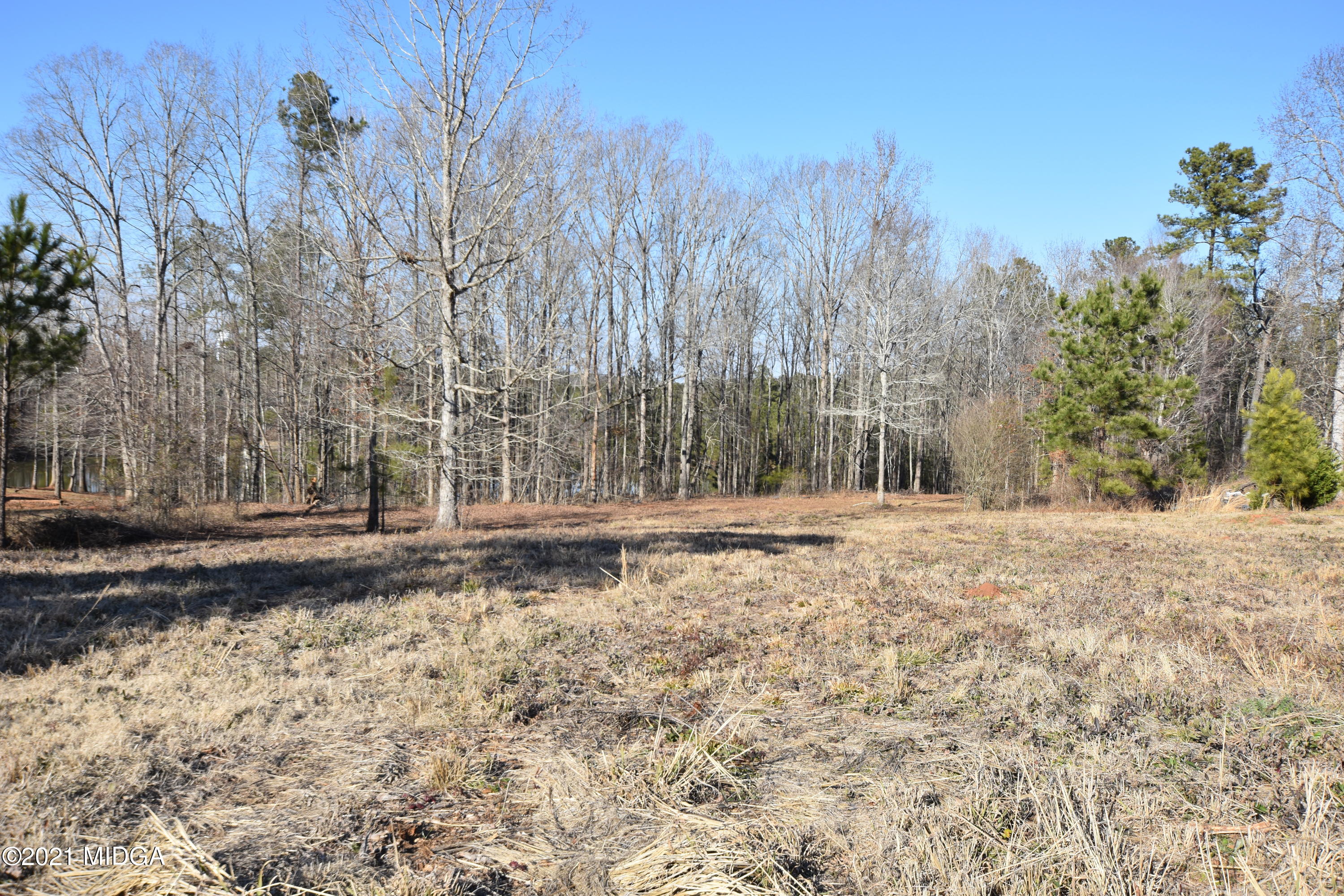 Lot 18 Plentitude Church Road Gray, GA 31032 - Photo 3 of 9 a view of a yard with trees