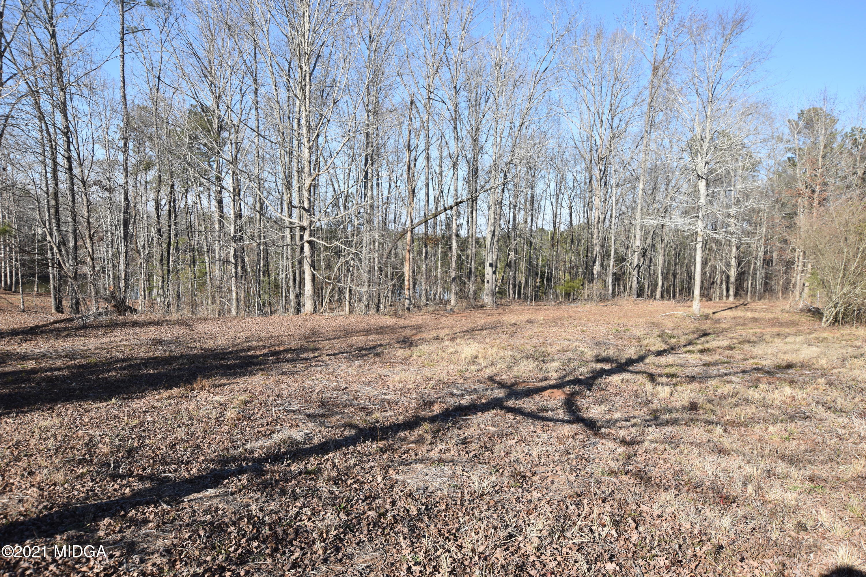 Lot 18 Plentitude Church Road Gray, GA 31032 - Photo 4 of 9 a view of side of a yard