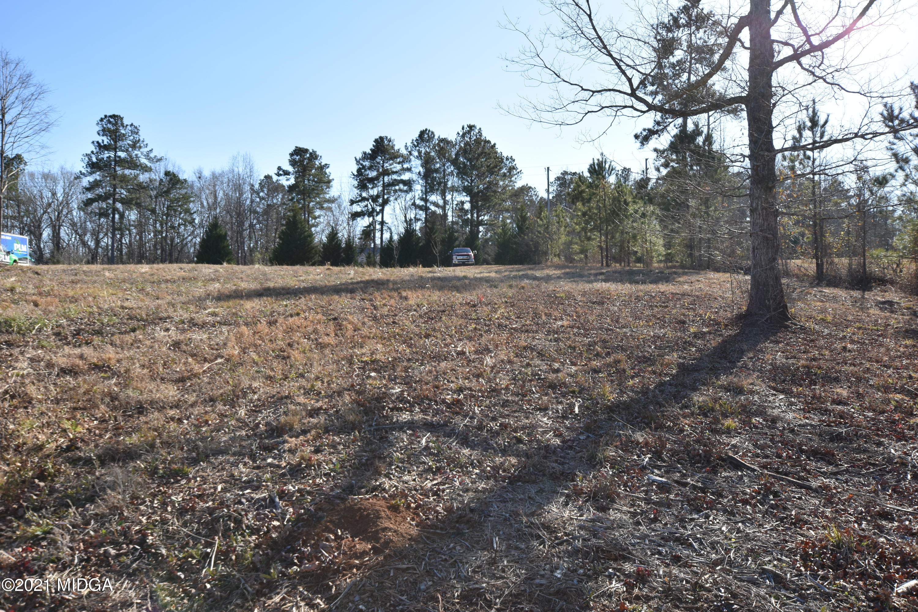 Lot 18 Plentitude Church Road Gray, GA 31032 - Photo 5 of 9 a view of a dry yard with trees